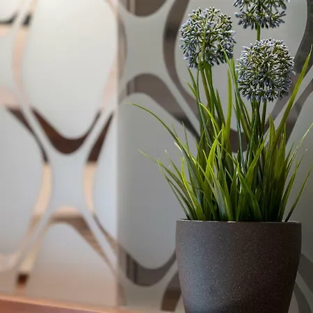 Bergwelt-m - Scheunencamping